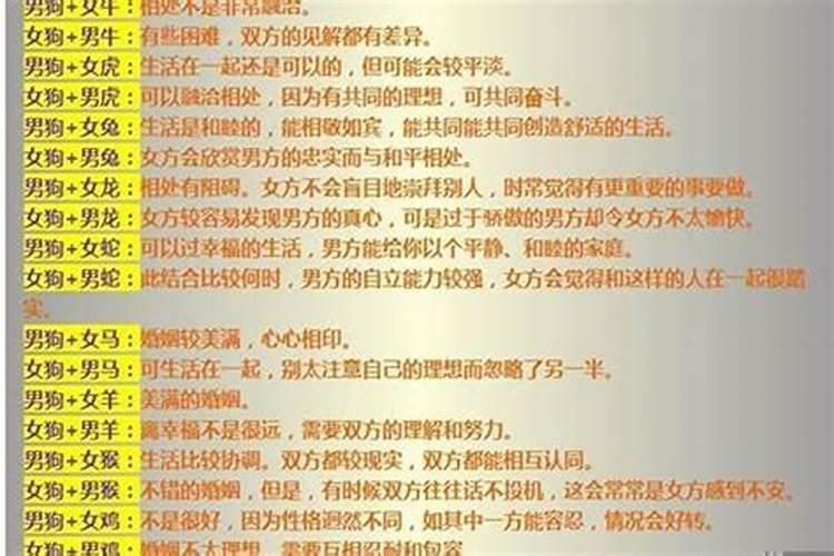 了解端午节的习俗