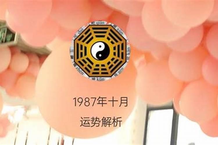 87年正月初六的兔好吗