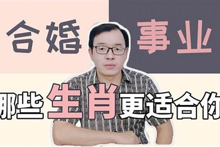 八字婚配中相害是什么意思