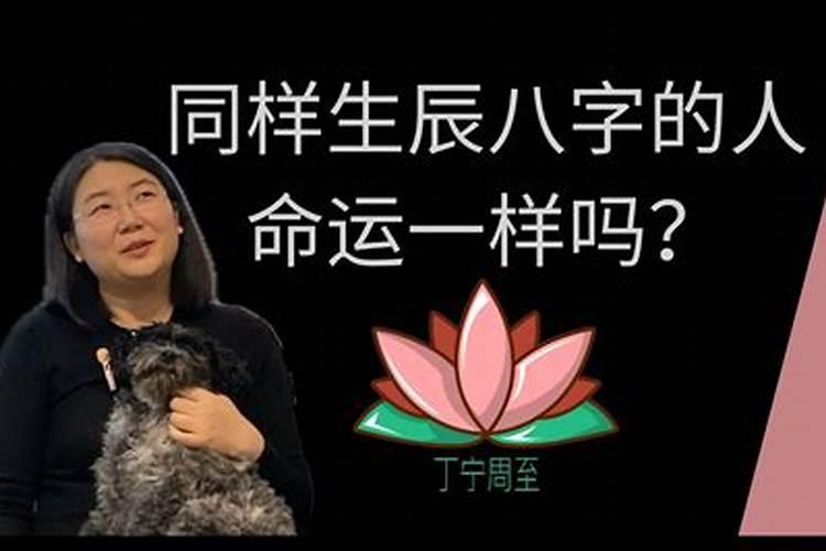 梦见白龙是什么意思