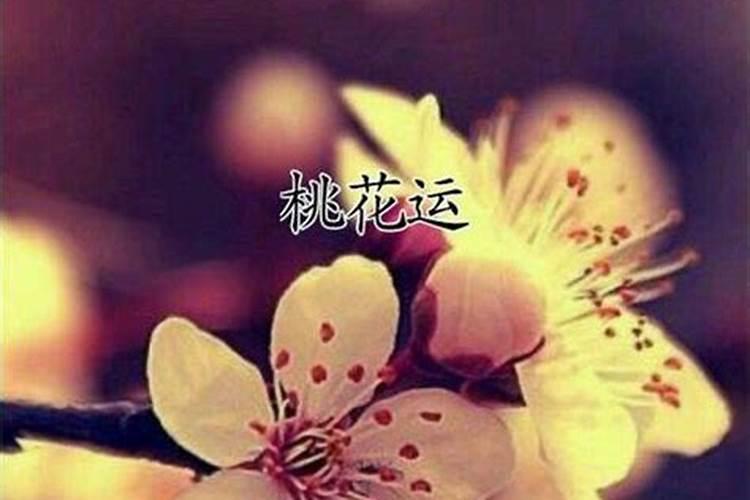 怎么破坏别人的桃花运