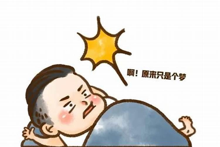 招财树放什么比较招财