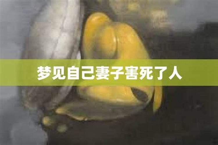 八字纯阴是鬼投胎