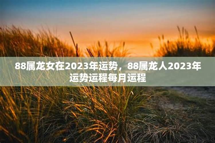 属蛇2022感情运势婚姻状况