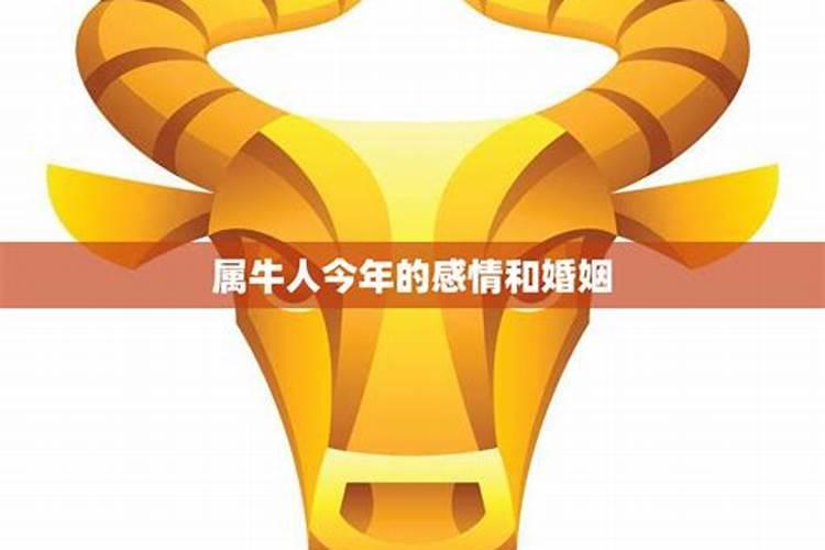 梦见自己和老公再次结婚