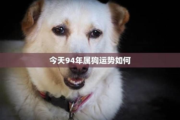 2023年属马犯太岁怎么办