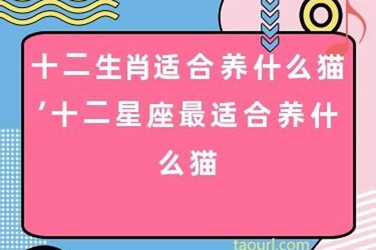 财运差怎么改变运势