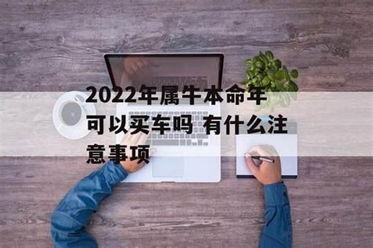 属牛在2022年全年运势如何