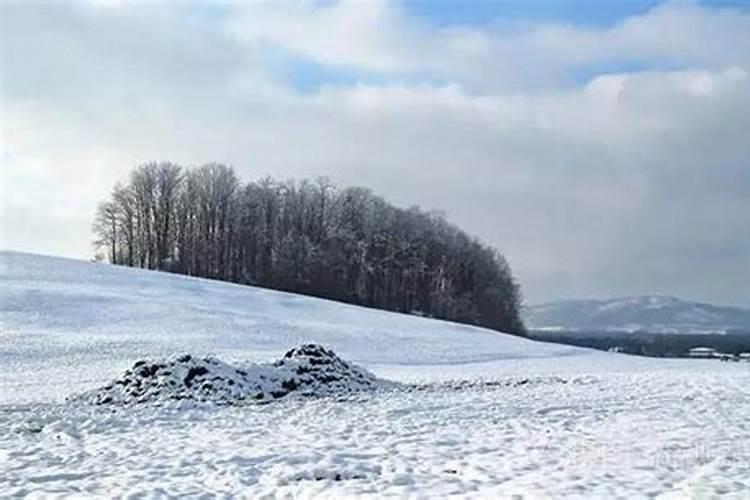 梦到下雪是什么意思