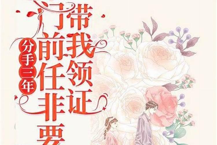 离了婚的女人不想再婚了怎么办