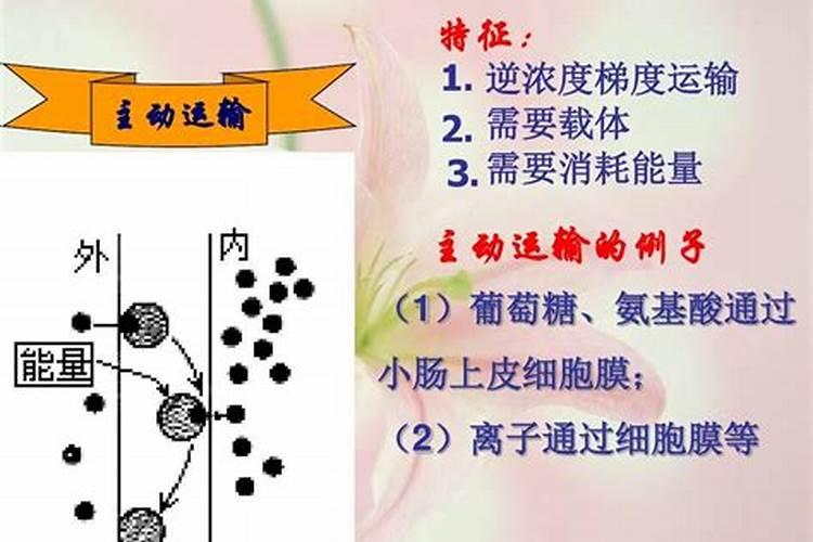 梦到被男人亲吻我