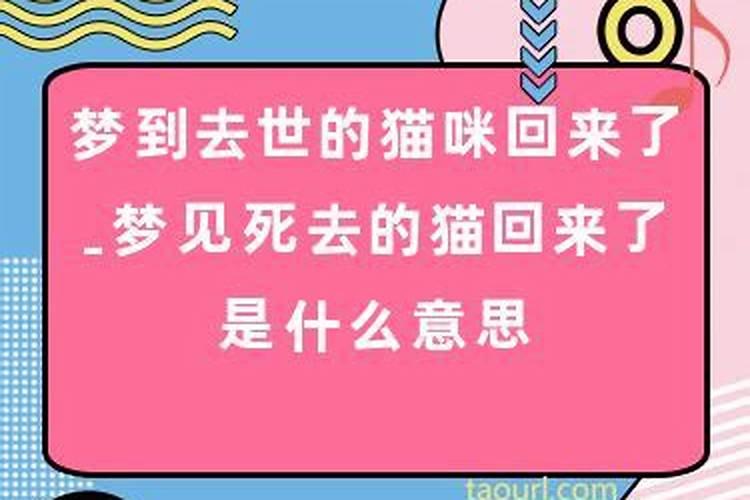 怎样通过八字看出婚姻不顺的人