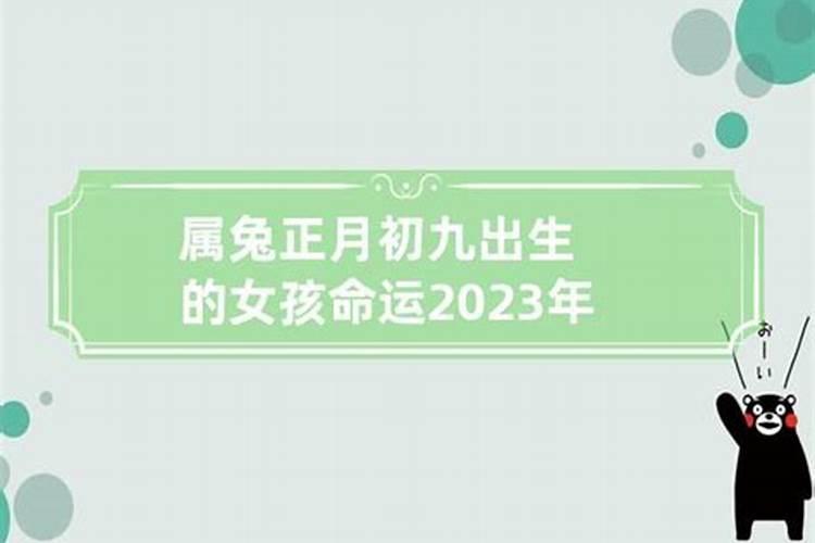 今年重阳节是第几个节日