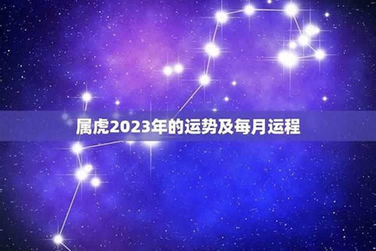 属虎2023年运势及运程详解每月