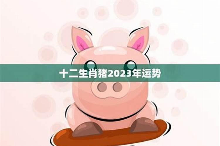 2023年属猪人的运势和财运如何