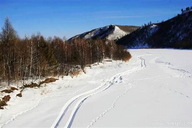 梦见在雪地里捡到手机