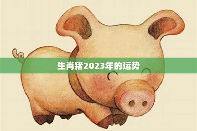 72年属鼠的人在2023年运程