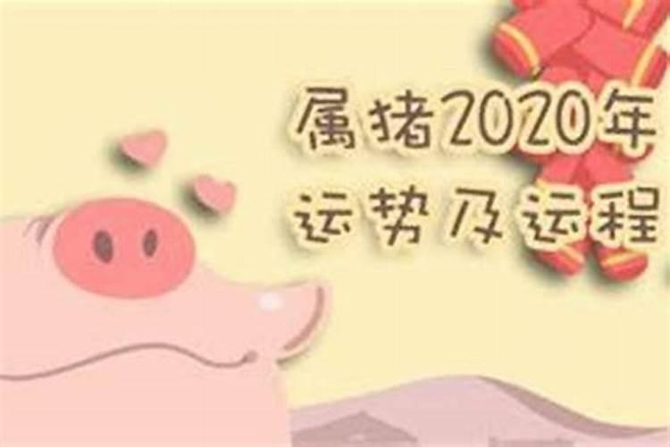 属猪的2021年运势怎样