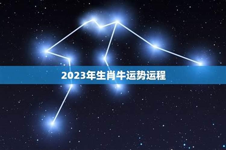 19九八年肖牛2023年运势