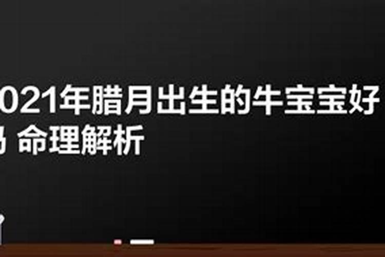 虎年本命年戴什么首饰最好