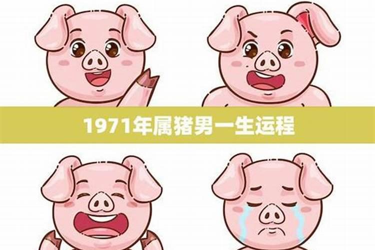 属虎人虎年运势2022年运程