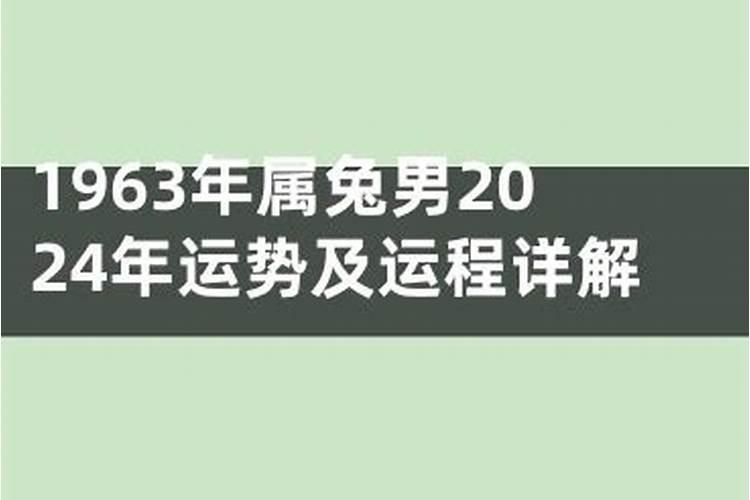 11月13日生肖运势