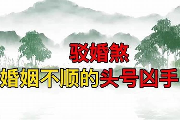 1970生肖狗2020下半年运势