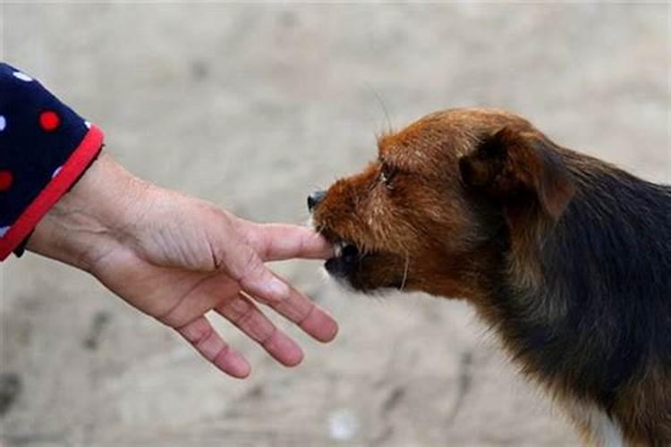 孕妇梦见车祸现场是什么意思呀周公解梦