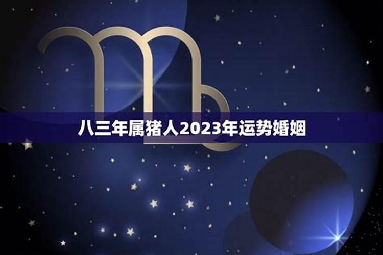 属虎2020年立春注意什么属相