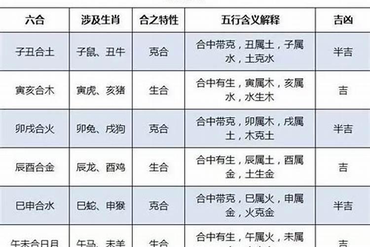 狗和鼠合不合财运