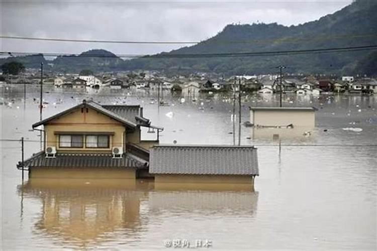 梦到回家走错路又回去