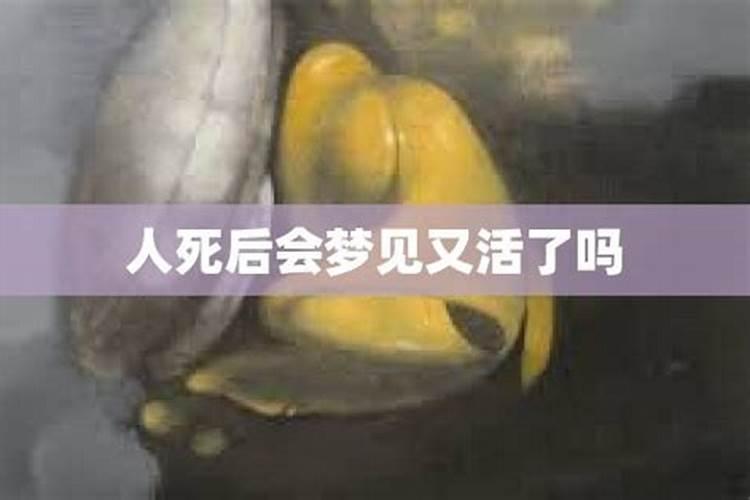 梦见老婆坦白出轨对象