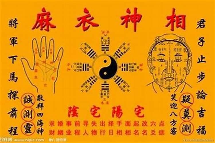 梦见学生和老师谈恋爱