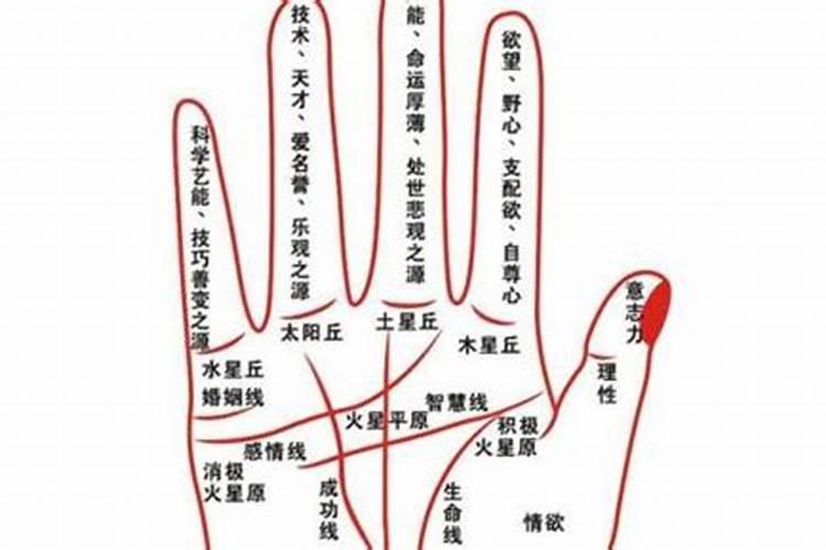 梦见死人出殡复活