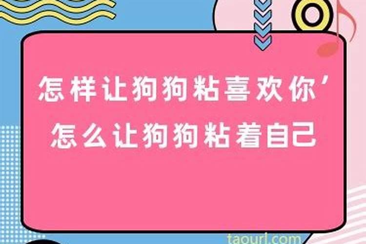 我的生辰八字查询