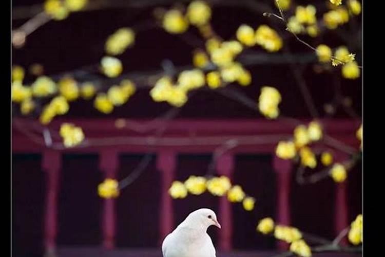 运气不好时怎么化解