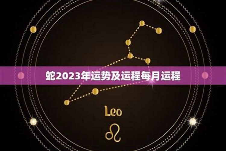 鼠蛇2023年运势运程