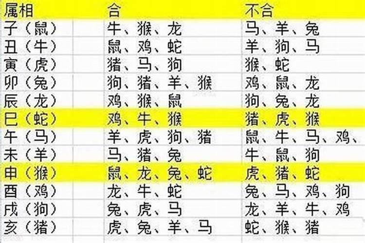 2023添丁最好的爸爸属相