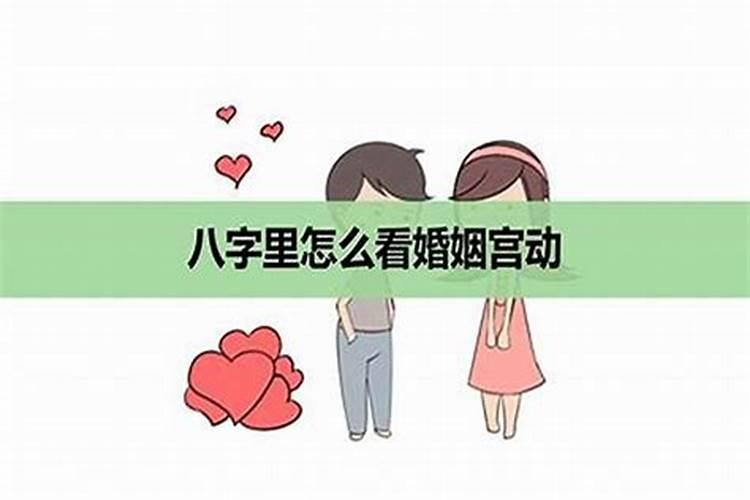 属狗人的命运与婚姻