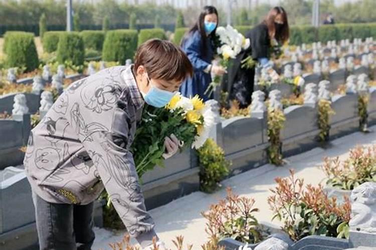 清明网上祭扫如何进行