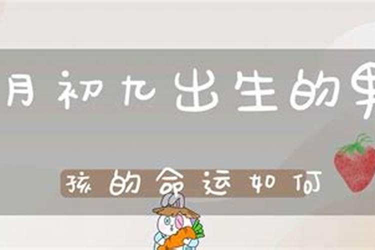 属鸡九月初九出生的男孩