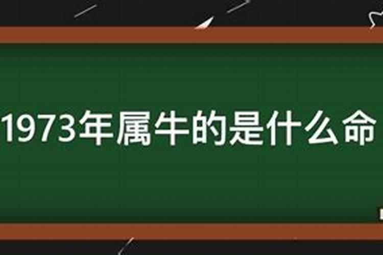 我想看1973年出生以后的运程