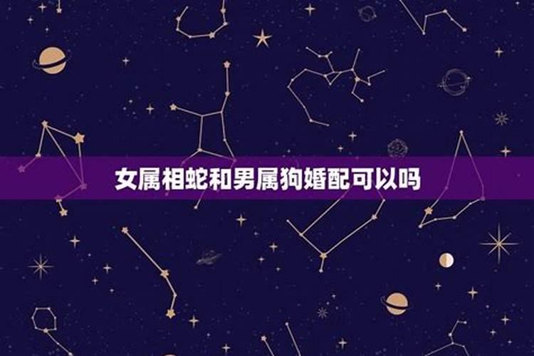 属猪正月初八是什么命