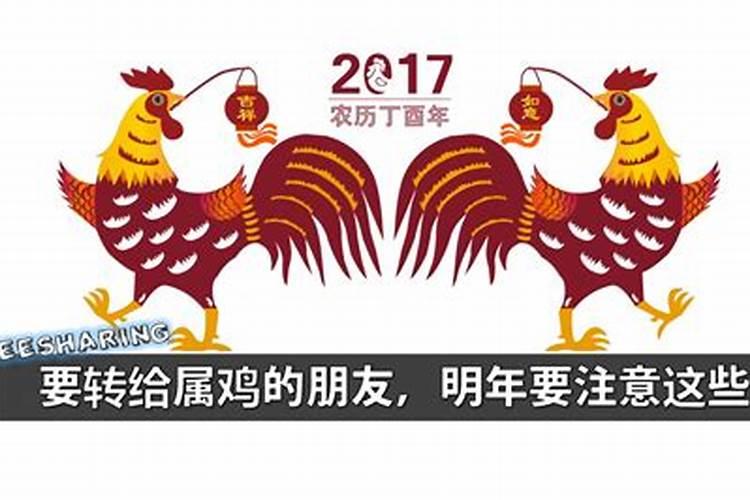 2017属鸡一生的命运如何