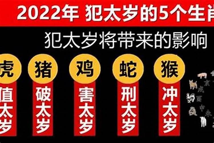 犯太岁2022年属相是啥呢