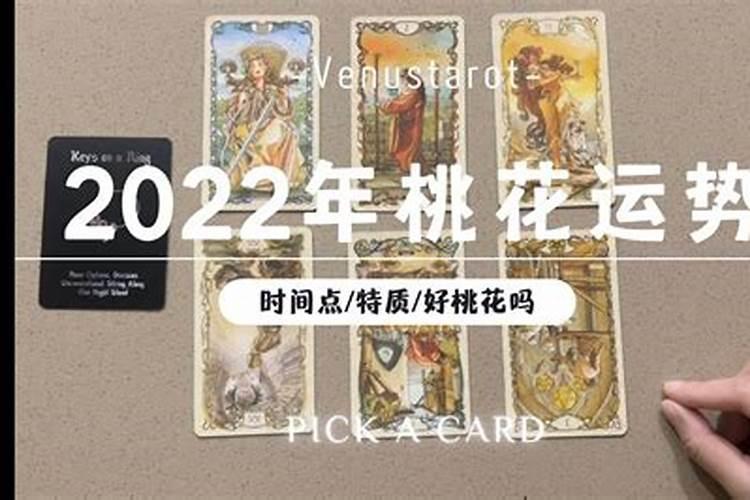 塔罗牌测试2023年运势如何