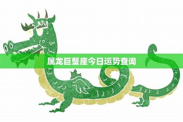 属龙今日运势指数