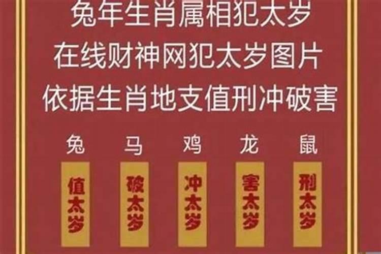 儿子梦见蛇追他好不好