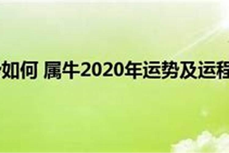 49年属牛的人2023年运程