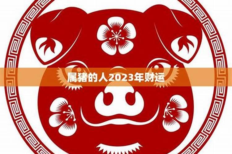 属猪的人在2023年运势